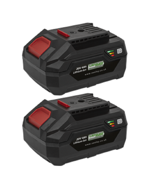 Power Tool Battery Pack 20V 4Ah Kit for SV20 Series