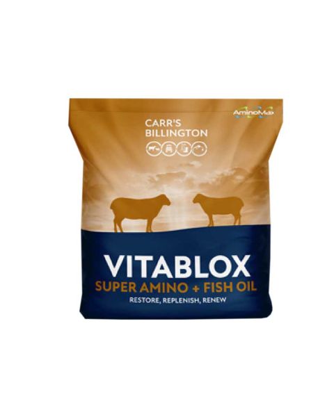 VITABLOX Super Amino + Fish Oil